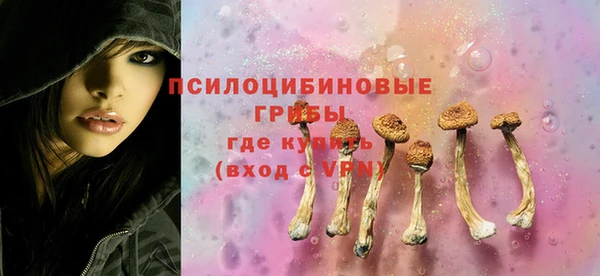 MDMA Premium VHQ Вяземский